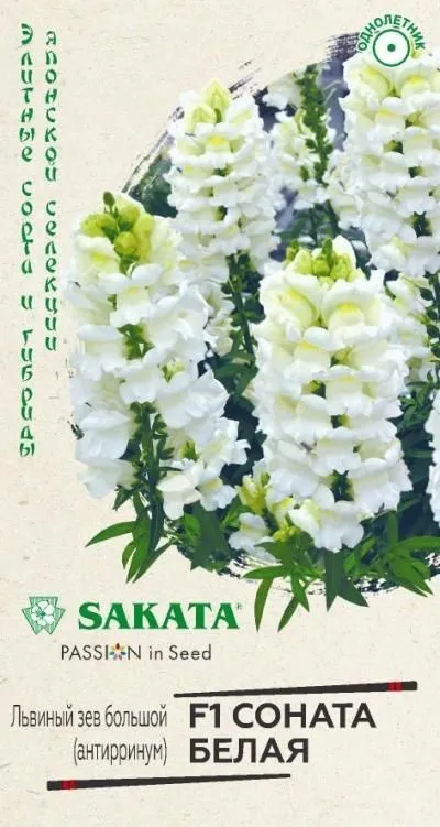 Львиный зев Соната белая F1 (цветной пакет) 7шт; Гавриш