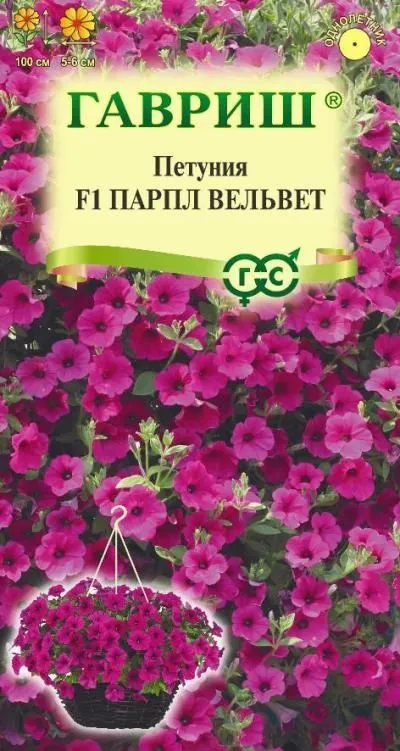 Петуния ампельная Парпл Вельвет (цветной пакет, пробирка) 4шт; Гавриш