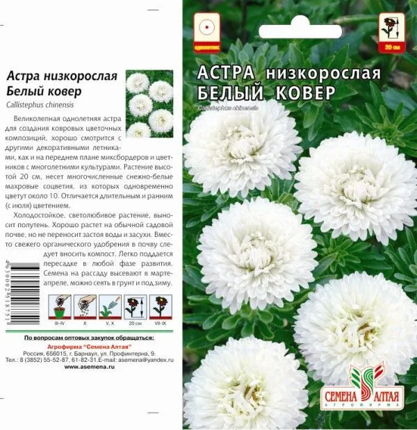 картинка Астра Белый Ковер (цветной пакет) 0,1г; Семена Алтая от магазина Флоранж