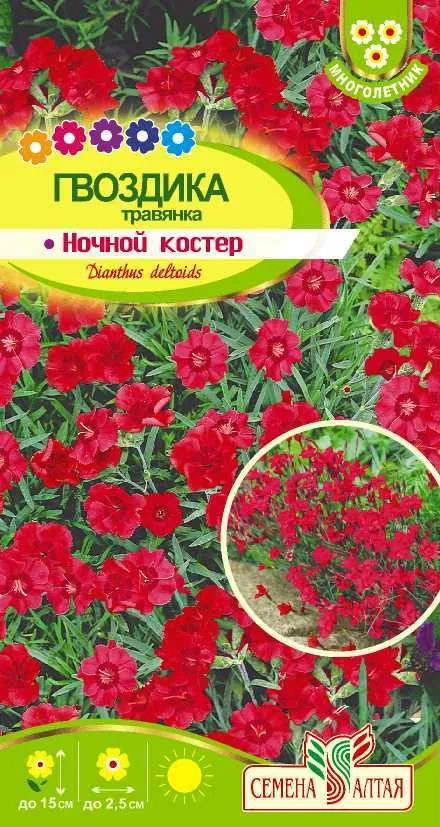 Гвоздика травянка Ночной Костер (цветной пакет) 0,05г; Семена Алтая