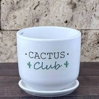 Горшок керамический цилиндр Кактус клуб 12х10,5см, 0,8л,  Россия