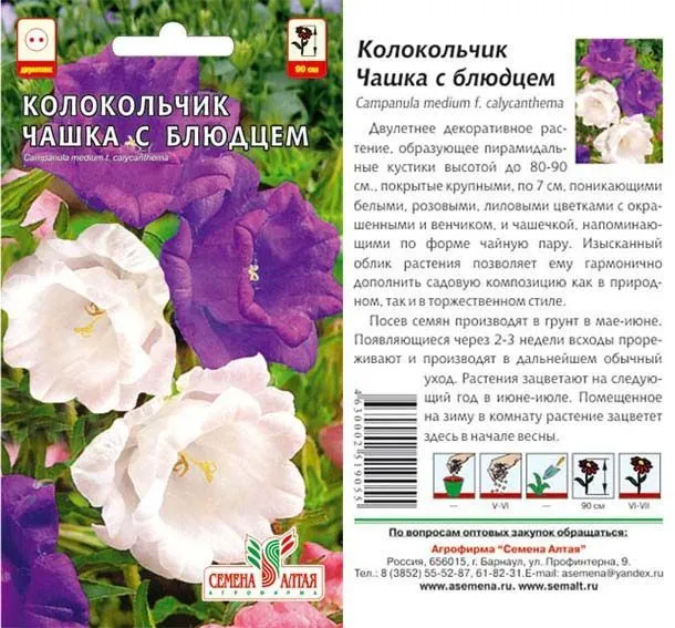 картинка Колокольчик Чашка с Блюдцем (цветной пакет) 0,1г; Семена Алтая от магазина Флоранж