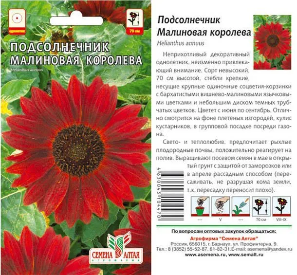 Подсолнечник Малиновая Королева (цветной пакет) 0,5г; Семена Алтая