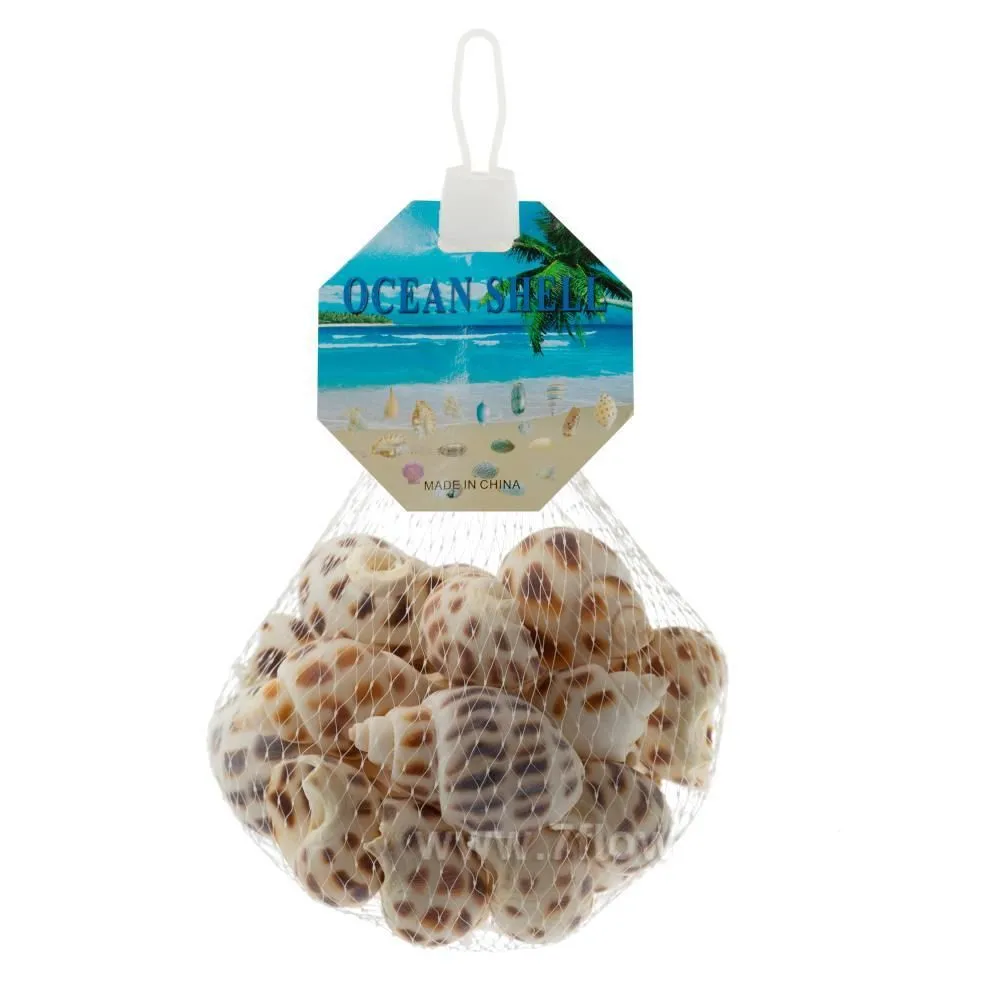 картинка набор ракушек 150гр от магазина Флоранж