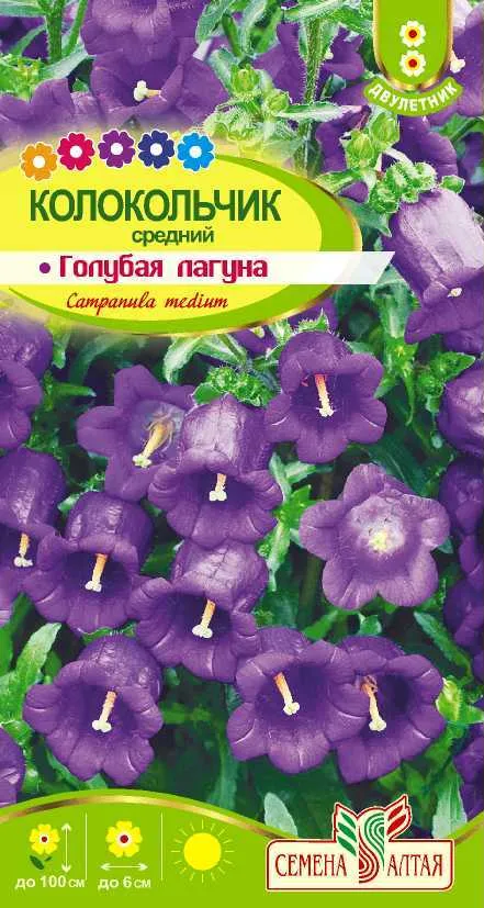 Колокольчик средний Голубая Лагуна (цветной пакет) 0,1г; Семена Алтая