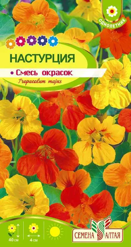 картинка Настурция Смесь окрасок (цветной пакет) 1г; Семена Алтая от магазина Флоранж