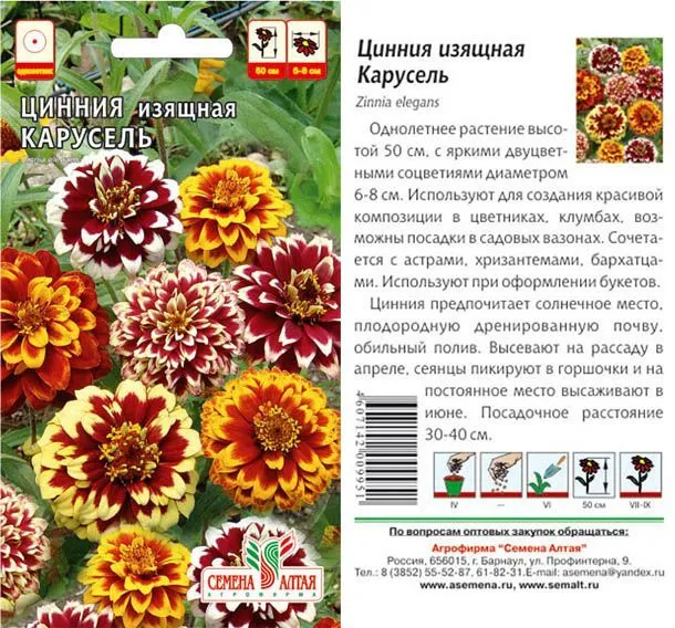 картинка Цинния Карусель Изящная (цветной пакет) 0,2г; Семена Алтая от магазина Флоранж