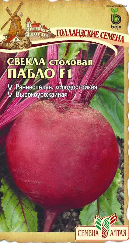 картинка Свекла Пабло (цветной пакет) 1г; Семена Алтая от магазина Флоранж