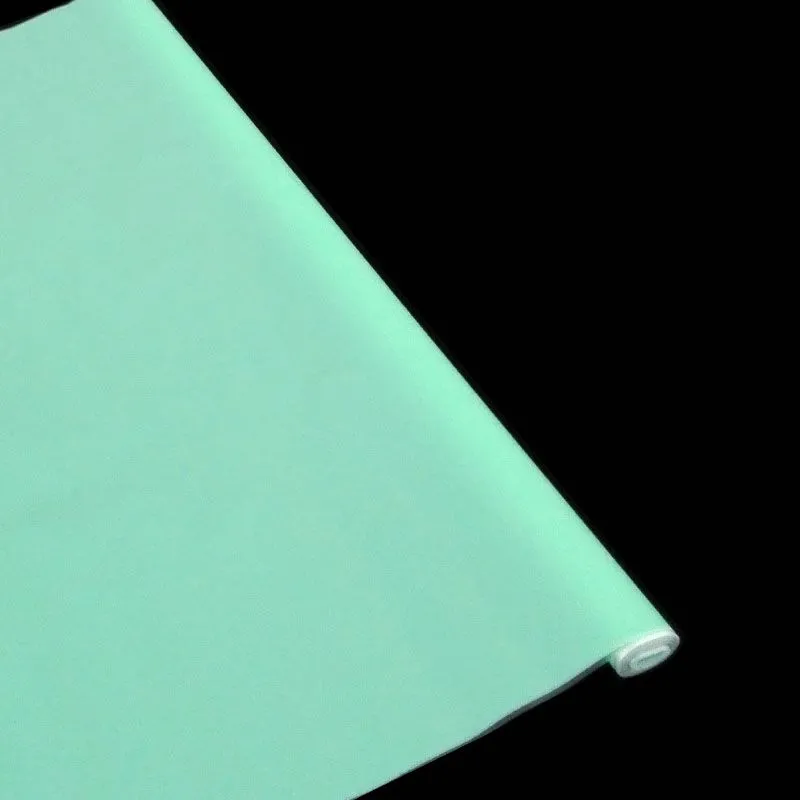 картинка Рулон пленка тонированная ECOLOGY, 60/70см, мятный; Россия от магазина Флоранж