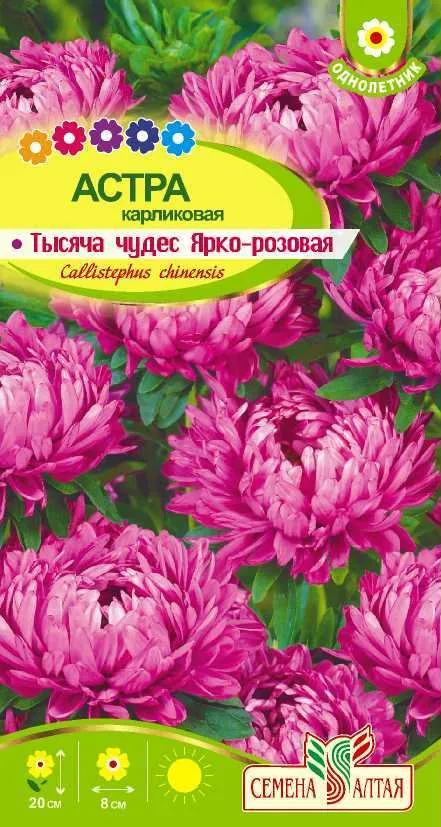 Астра Тысяча чудес ярко-розовая карликовая (цветной пакет) 0,15г; Семена Алтая