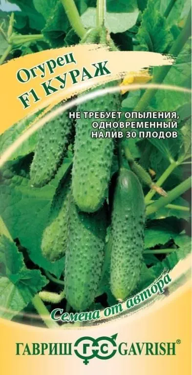 картинка Огурец Кураж F1 (цветной пакет) 10шт; Гавриш от магазина Флоранж