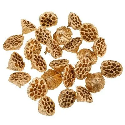 Сухоцветы Лотос, Н8-10 см, набор (25 шт), золотой