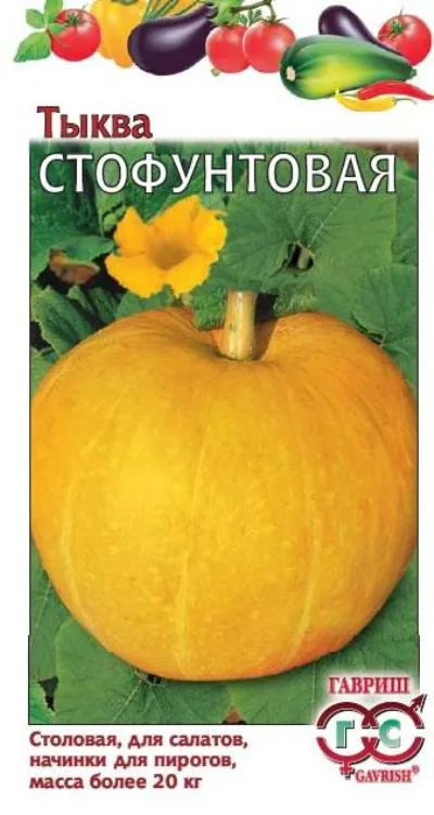 картинка Тыква Стофунтовая (цветной пакет) 2г; Гавриш от магазина Флоранж