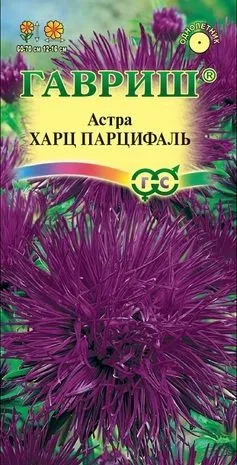 Астра Харц Парцифаль, тонкоигольчатая темно-фиолетовая (цветной пакет) 0,3г; Гавриш