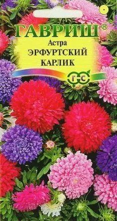 Астра Эрфуртский карлик Смесь (цветной пакет) 0,3г; Гавриш