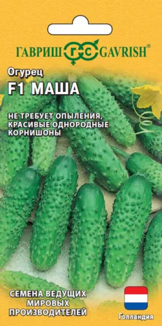 картинка Огурец Маша F1 (цветной пакет) 5шт; Гавриш от магазина Флоранж