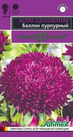 картинка Астра Баллон пурпурный (цветной пакет) 0,05г; Гавриш от магазина Флоранж