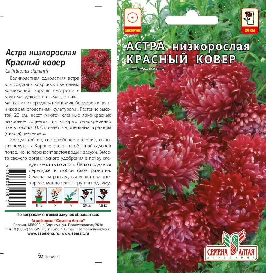 картинка Астра Красный ковер (цветной пакет) 0,1г; Семена Алтая от магазина Флоранж