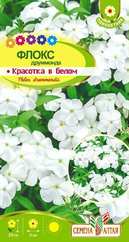 Флокс Белое Море (цветной пакет) 0,05г; Семена Алтая