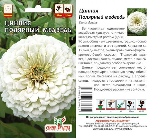 Цинния Полярный Медведь (цветной пакет) 0,3г; Семена Алтая