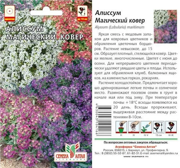 картинка Алиссум Магический Ковер (цветной пакет) 0,1г; Семена Алтая от магазина Флоранж