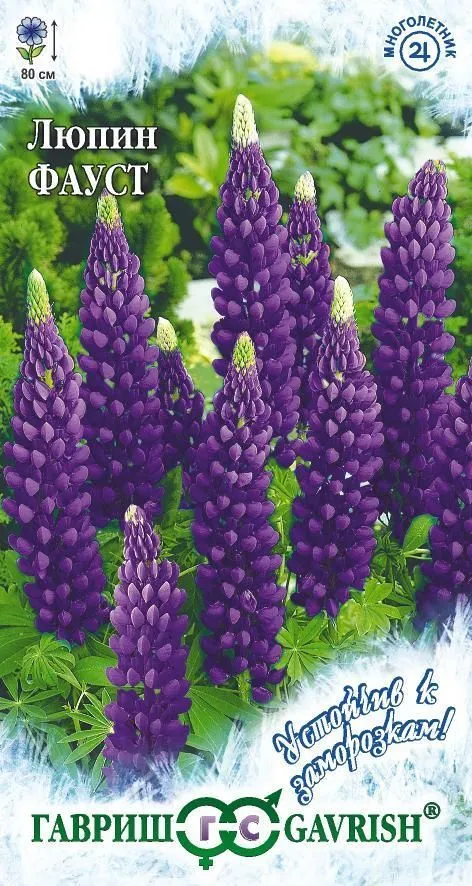 картинка Люпин многолетний Фауст (цветной пакет) 0,5г; Гавриш от магазина Флоранж