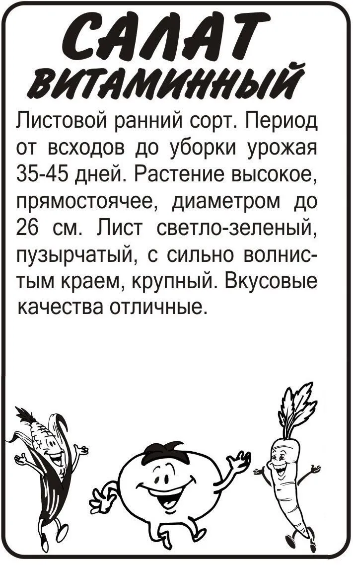 Салат листовой Витаминный (белый пакет) 0,5г; Семена Алтая