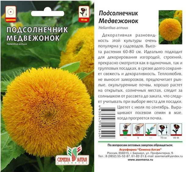 картинка Подсолнечник Медвежонок (цветной пакет) 0,5г; Семена Алтая от магазина Флоранж