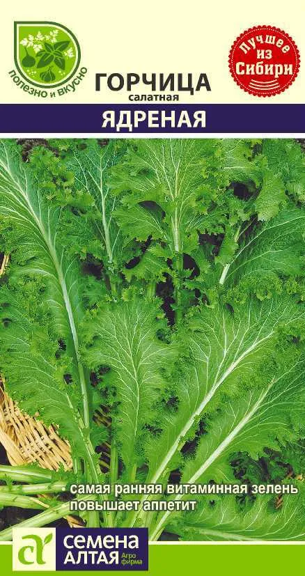 картинка Горчица Ядреная (цветной пакет) 0,5г; Семена Алтая от магазина Флоранж