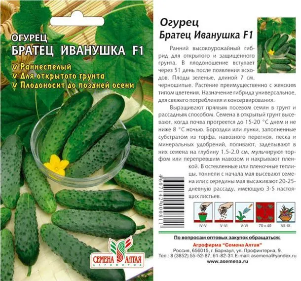 картинка Огурец Братец Иванушка (цветной пакет) 0,3г; Семена Алтая от магазина Флоранж