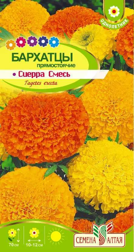 картинка Бархатцы Сиерра Смесь (цветной пакет) 0,3г; Семена Алтая от магазина Флоранж