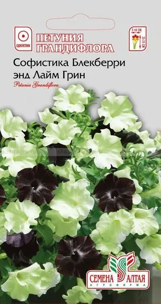 Петуния Софистика Блекберри (цветной пакет) 6шт; Семена Алтая