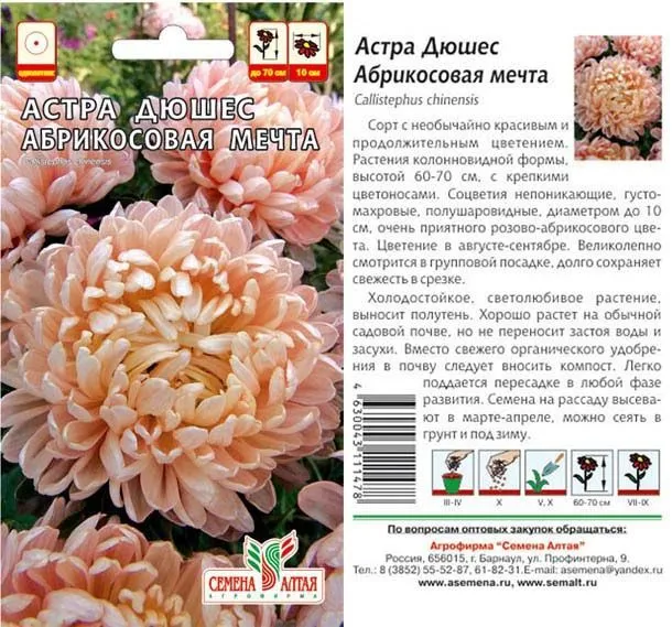 картинка Астра Абрикосовая Мечта (цветной пакет) 0,2г; Семена Алтая от магазина Флоранж
