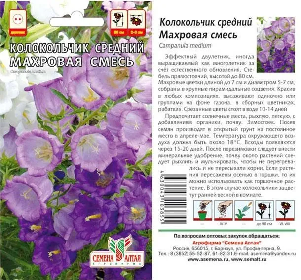 картинка Колокольчик средний (цветной пакет) 0,1г; Семена Алтая от магазина Флоранж