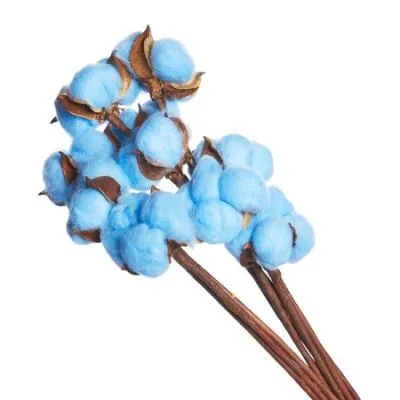 Набор хлопка на вставке 30-40см, 10шт в уп, ярко-голубой