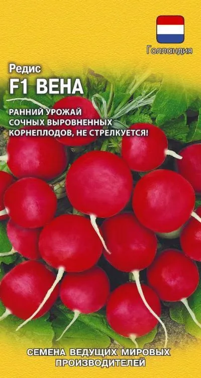 картинка Редис Вена F1 (цветной пакет) 0,5г; Гавриш от магазина Флоранж