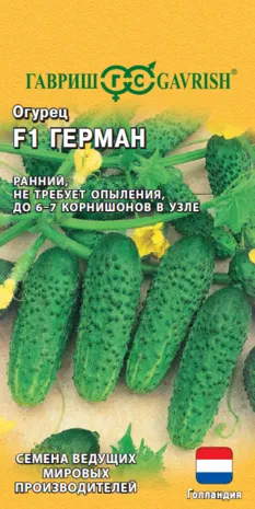 Огурец Герман F1 (цветной пакет) 5шт; Гавриш