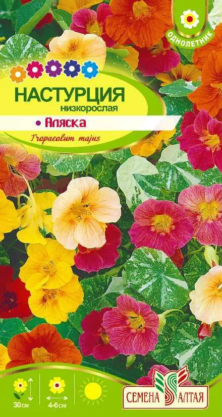 картинка Настурция Аляска низкорослая (цветной пакет) 1г; Семена Алтая от магазина Флоранж