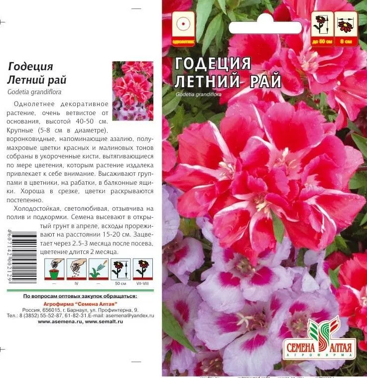 картинка Годеция Летний Рай (цветной пакет) 0,2г; Семена Алтая от магазина Флоранж