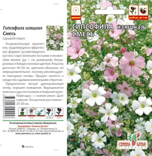картинка Гипсофила изящная Смесь (цветной пакет) 0,2г; Семена Алтая от магазина Флоранж