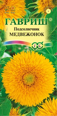картинка Подсолнечник Медвежонок (цветной пакет) 0,5г; Гавриш от магазина Флоранж