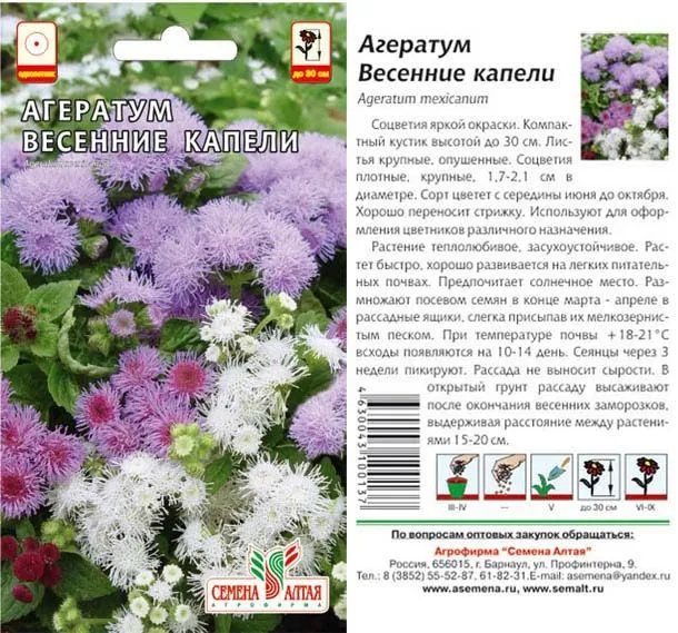 картинка Агератум Весенние Капели (цветной пакет) 0,1г; Семена Алтая от магазина Флоранж