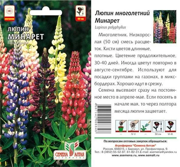 картинка Люпин Минарет (цветной пакет) 0,3г; Семена Алтая от магазина Флоранж