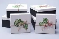 Коробка квадрат Монстера 73629 (1-й из набора) 15,5х15,5х6,5см; Китай