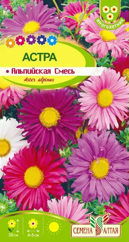 картинка Астра Альпийская смесь (цветной пакет) 0,05г; Семена Алтая от магазина Флоранж
