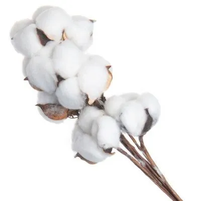 картинка Набор хлопка на вставке 30-40см, 10шт в уп, белый от магазина Флоранж