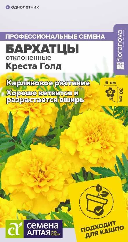 картинка Бархатцы Креста Голд махровые (цветной пакет) 10шт.; Семена Алтая от магазина Флоранж