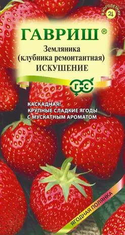 картинка Земляника (Клубника) ампельная Искушение F1 (цветной пакет) 10шт; Гавриш от магазина Флоранж