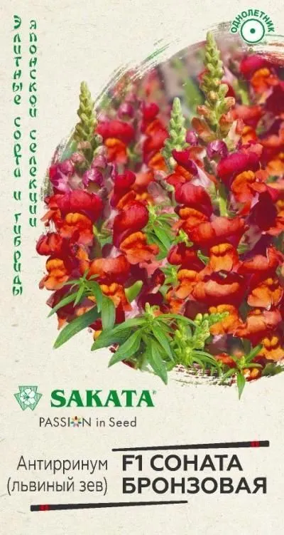 картинка Львиный зев Соната бронзовая F1 (цветной пакет) 7шт; Гавриш от магазина Флоранж