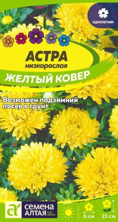 картинка Астра Желтый ковер (цветной пакет) 0,2г; Семена Алтая от магазина Флоранж